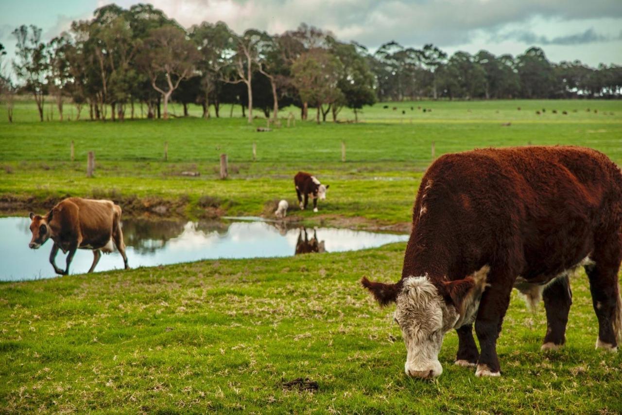 Discovery Parks Margaret River Cowaramup Exterior foto